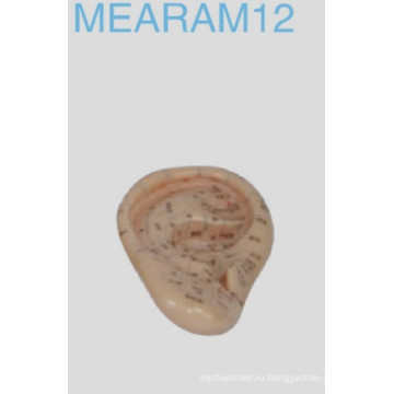 Earam12